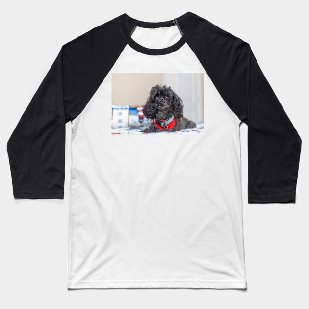 Lap Dog Baseball T-Shirt by KensLensDesigns